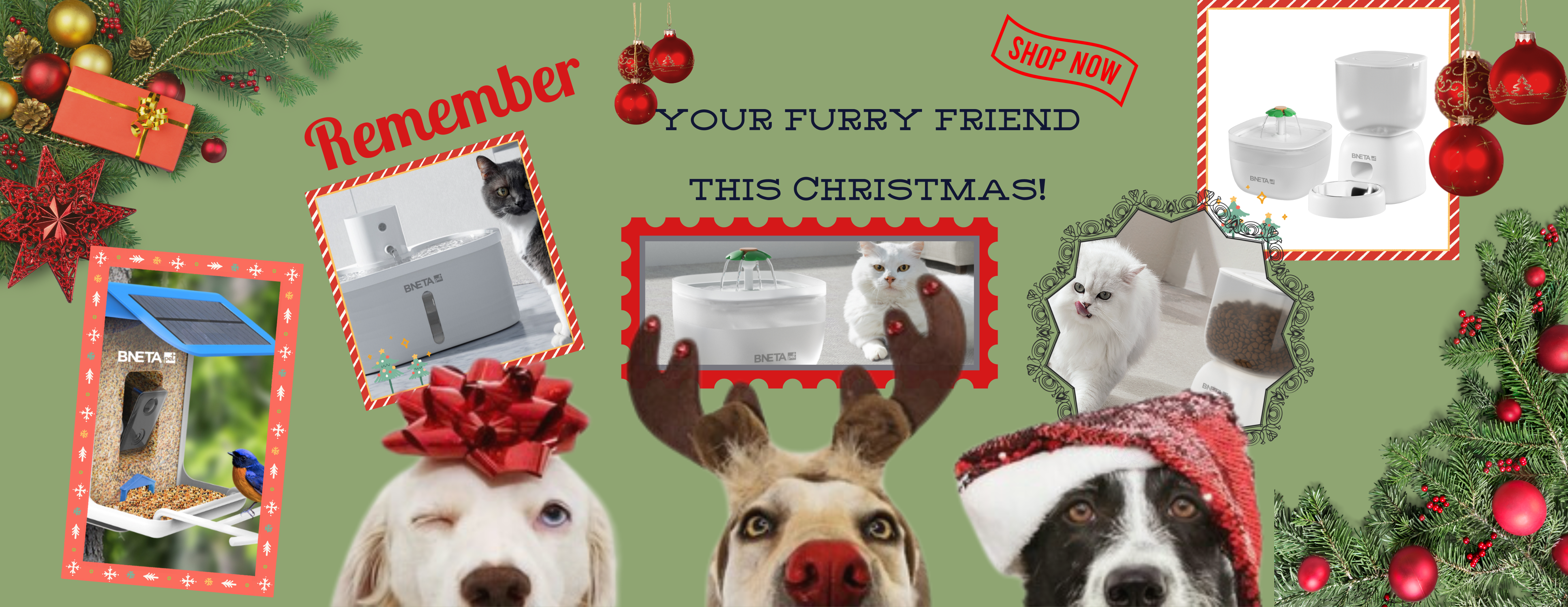 Pet Accessories Christmas Banner